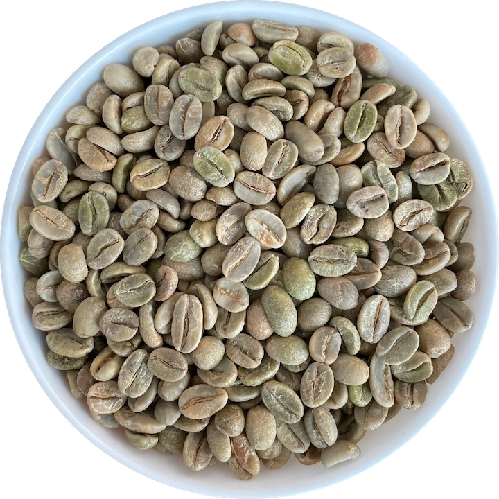 Arabica Cherry A export India