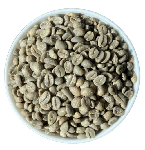 Arabica Plantation A export India