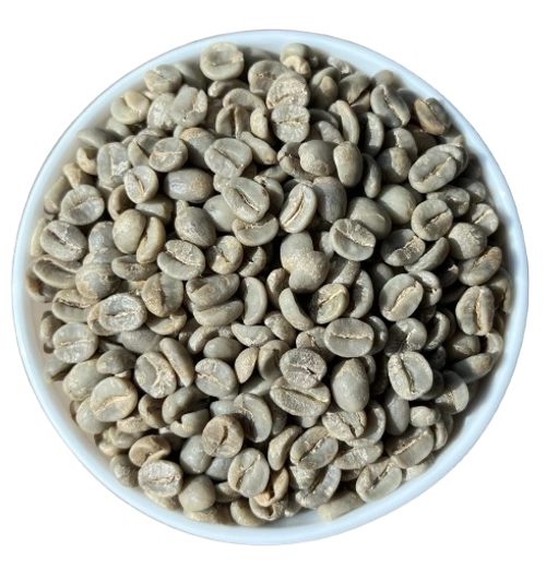 Arabica Plantation AAA export India