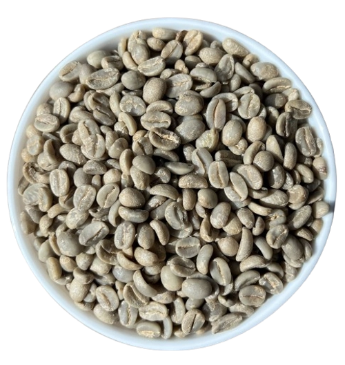Arabica Plantation B export India