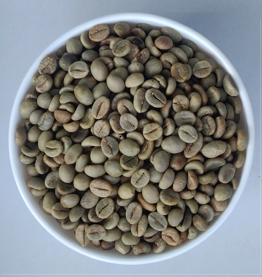 Arabica Plantation C export India