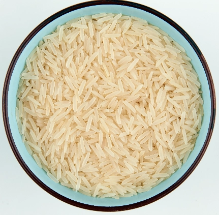 Basmati Rice - 1509 Sella Cream export India