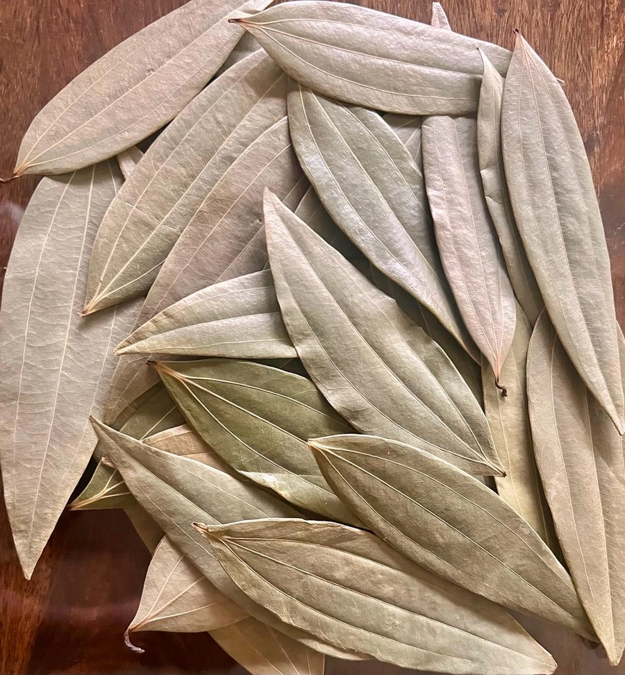 Bay Leaf - Tej Patta Supreme HPS Without Stem from India