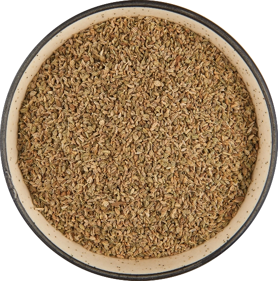 Bishop's Weed (Ajwain) export India