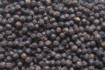 Black Pepper - TGEB from India