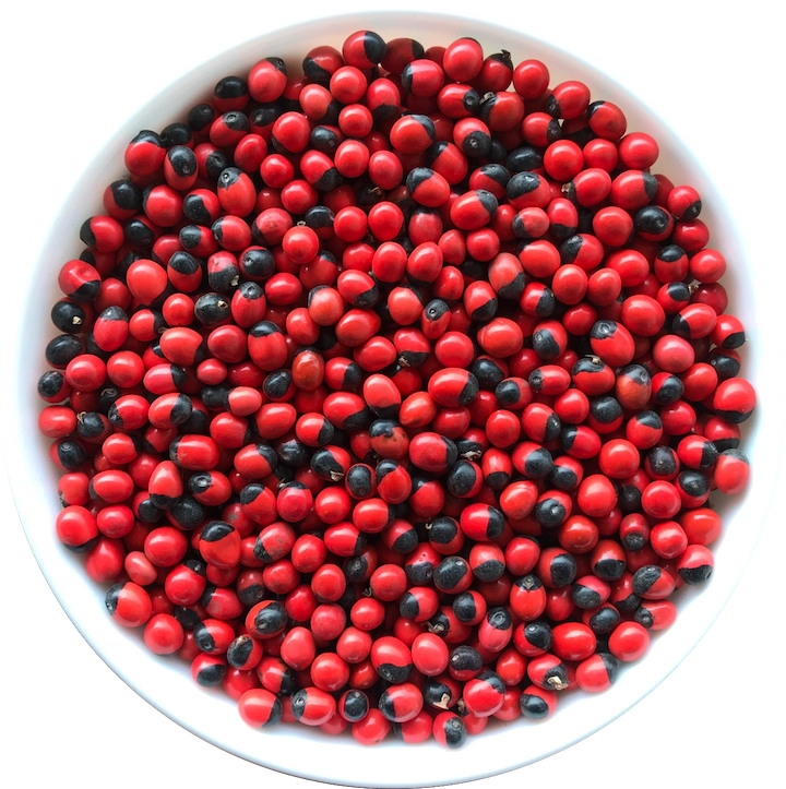 Chanoti (Jequirity Seeds) export India