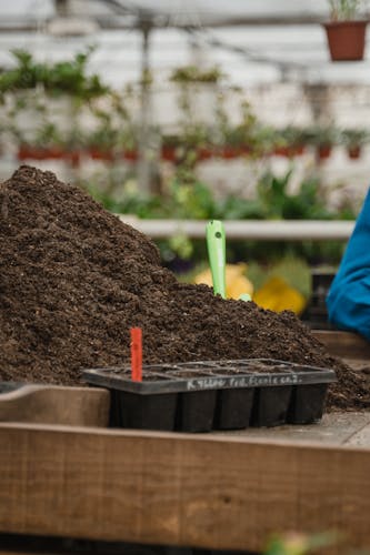 Coco Peat Briquettes from India