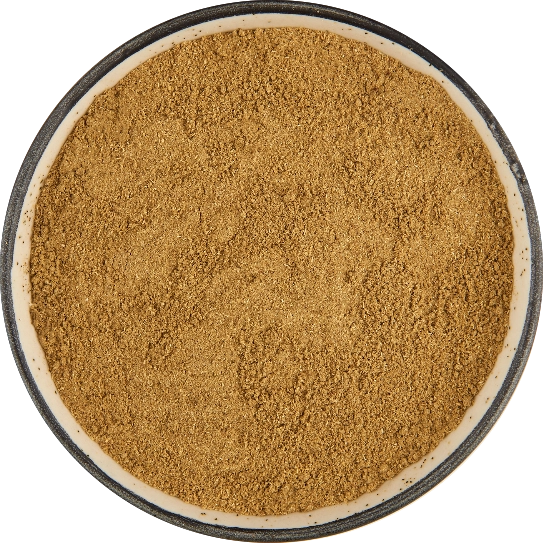 Coriander Powder export India