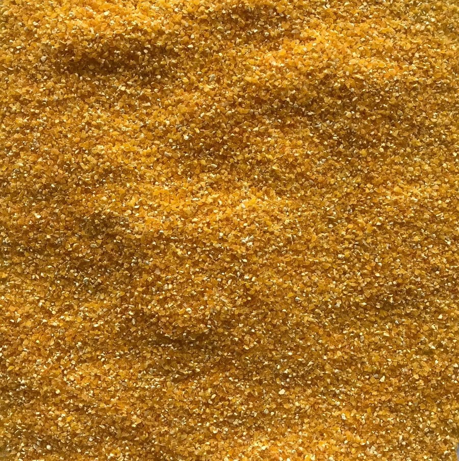 Corn Grits 101 export India