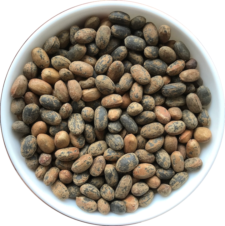 Croton Tiglium (Jamal Gota) export India