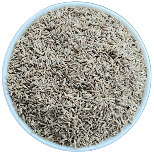 Cumin Seeds - IPM export India