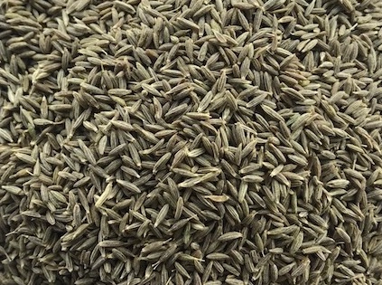 Cumin Seeds - USA export India
