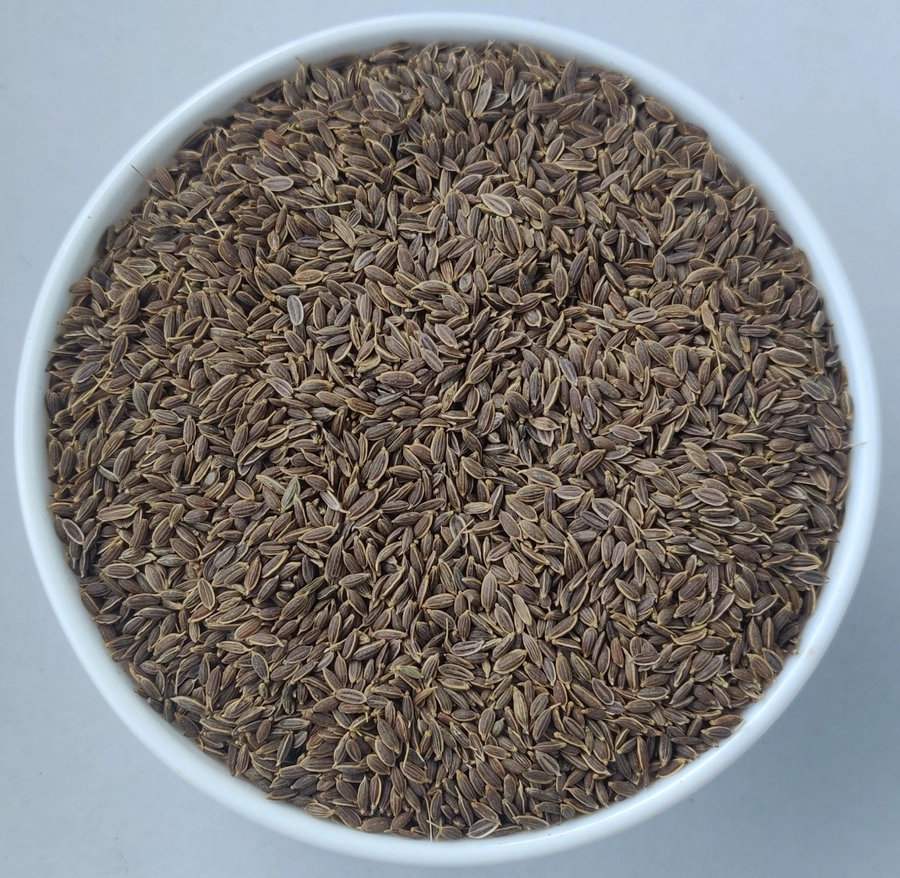 Dill Seeds export India