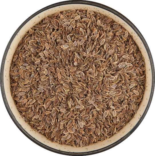 Dill Seeds - Open Sortex export India
