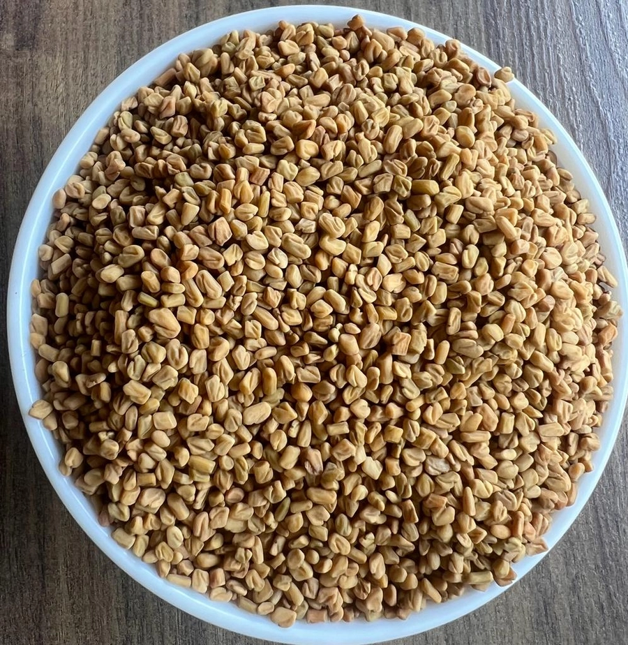 Fenugreek Europe from India