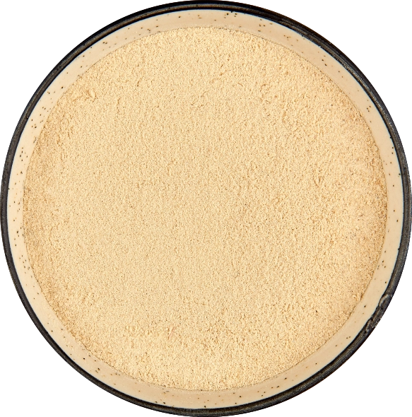 Ginger Powder export India