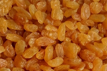 Golden Raisins - 5 Star export India