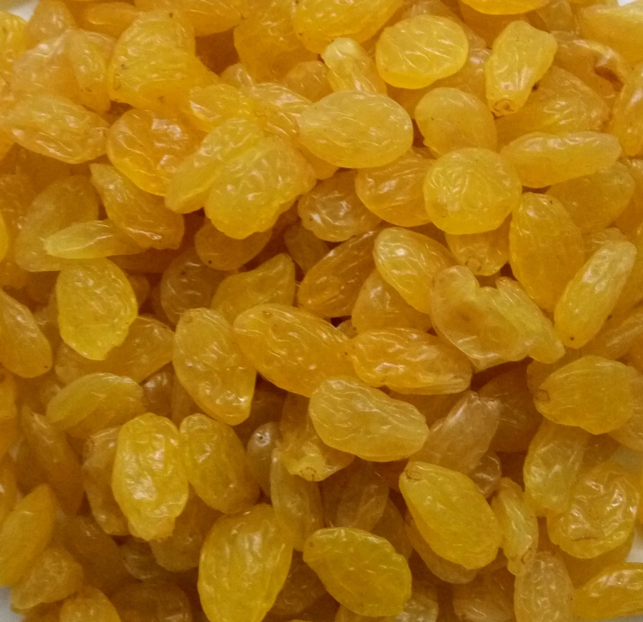 Golden Raisins - 4 Star export India