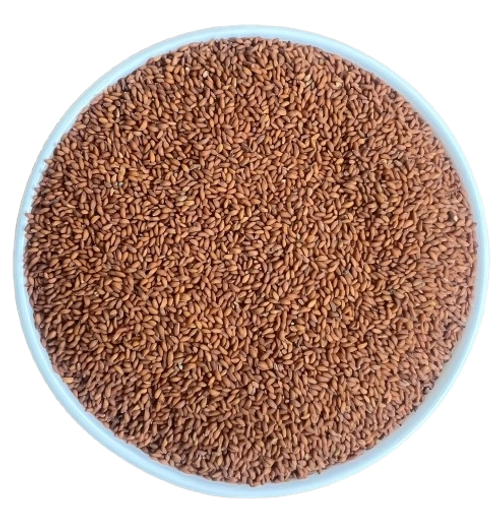 Helim Seeds (Asalio) export India