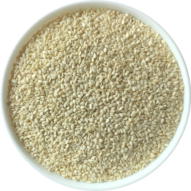 Oil Seeds export from India - Radiance Overseas