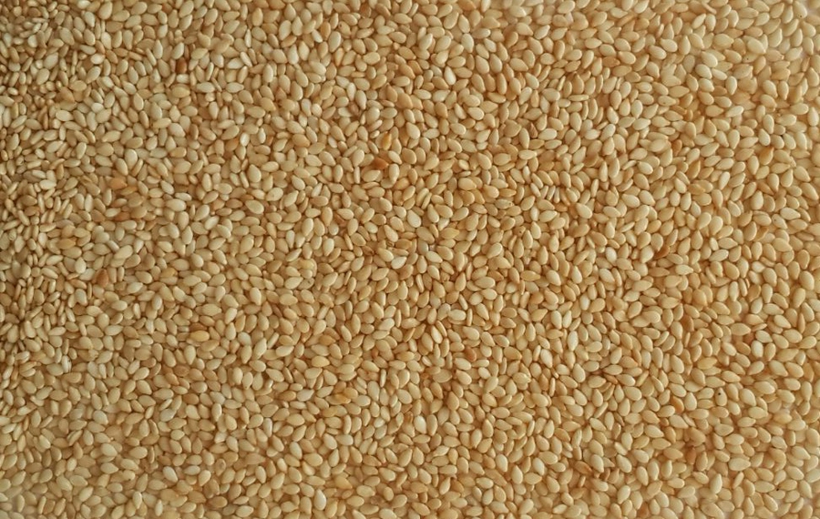 Hulled Sesame - Toasted export India