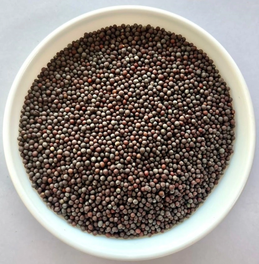Mustard Seeds - Brown export India