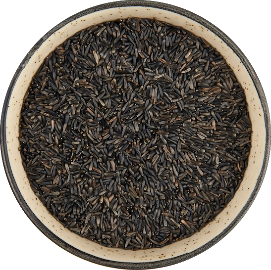 Niger Seeds export India