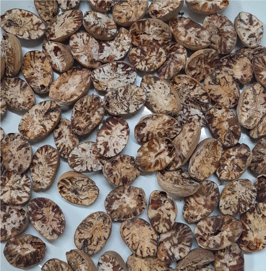 Nutmeg Broken -Without Shell export India