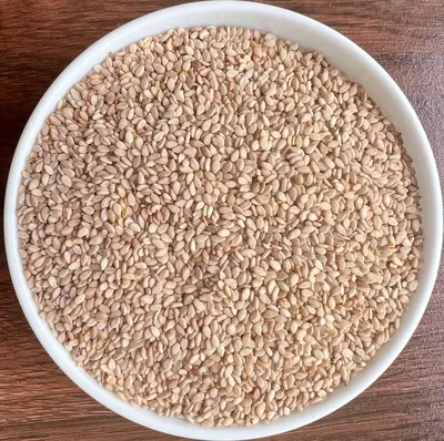 Oil Seeds India