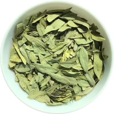 Herbs Medicinal Plants India Export