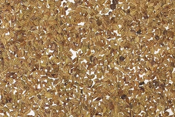 Parsley Seeds export India