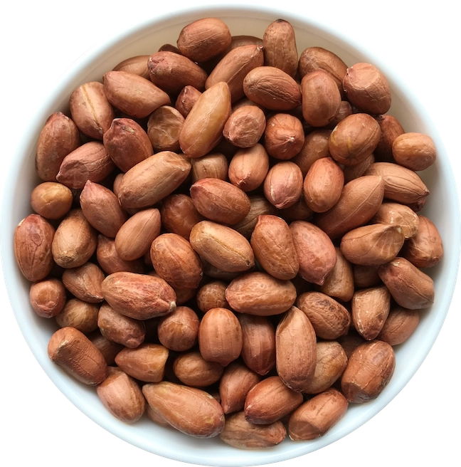 Peanut Bold - 38/42 export India