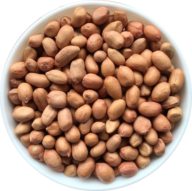 Peanut Java - 50/60 export India