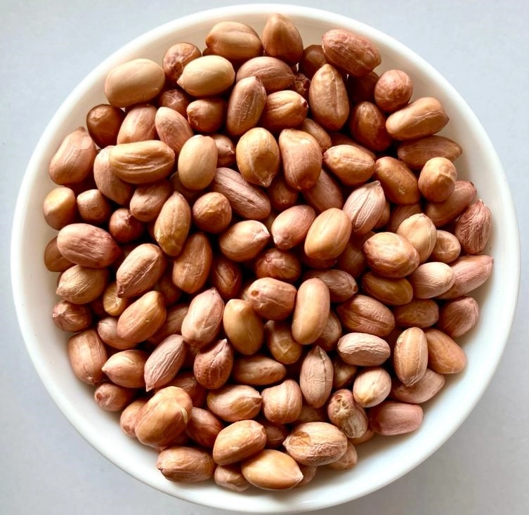 Peanut Java - 70/80 export India