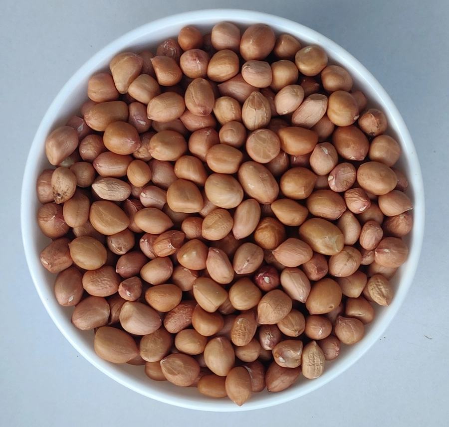 Peanut Java - 80/90 export India