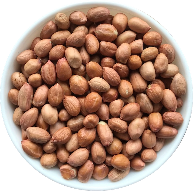 Peanut TJ - 50/60 export India