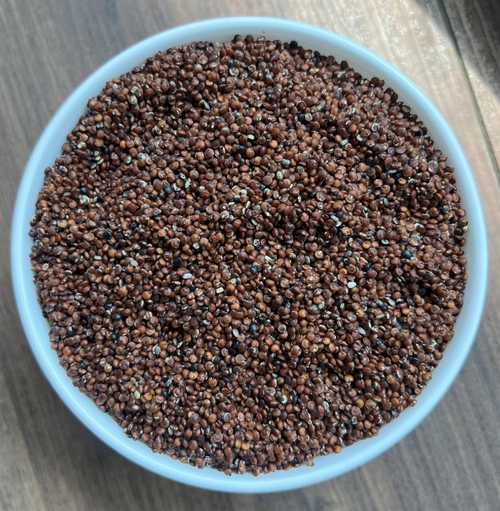 Quinoa Seeds - Red export India