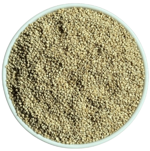 Quinoa Seeds - White export India