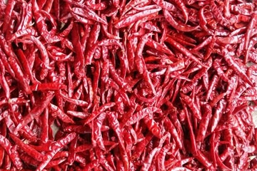 Red Chilli - S4 Sanam W/O Stem export India
