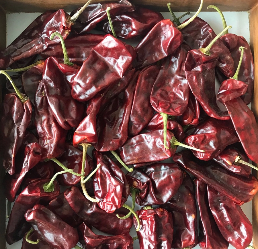 Red Chilli - S4 Sanam W/O Stem export India