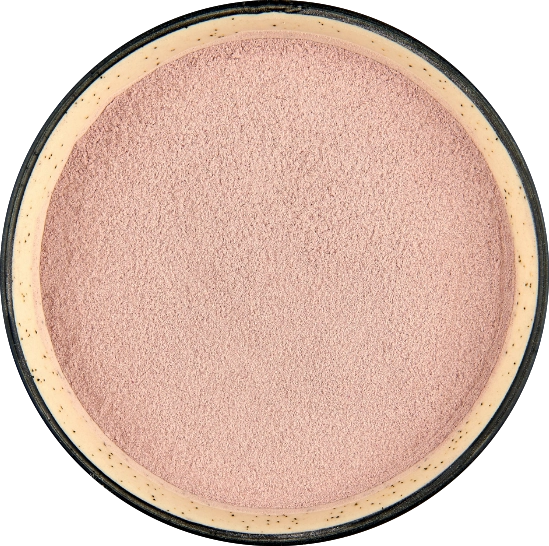 Red Onion - Powder export India