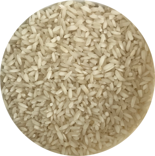 Rice - IR 8 Raw White export India