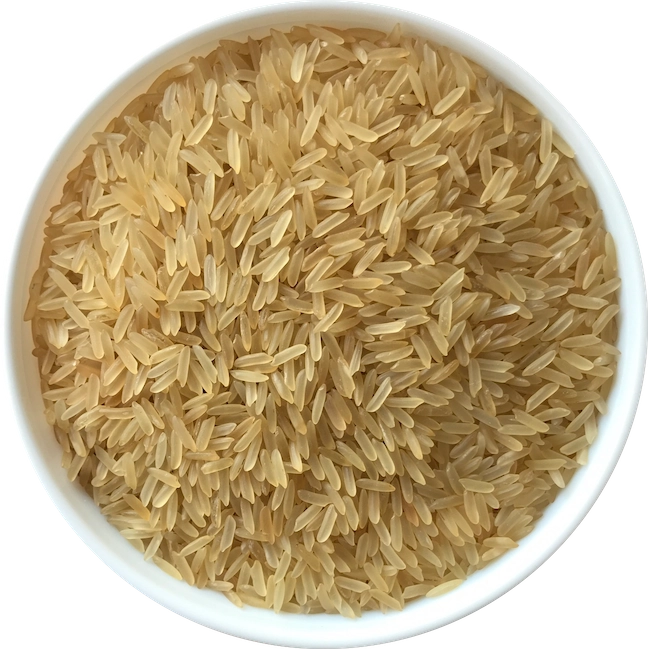 Rice - PR 11 Sella Golden export India