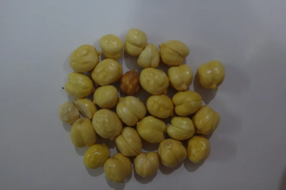 Peeled White Roasted Gram (Putani) — Plain (Unsalted) from India