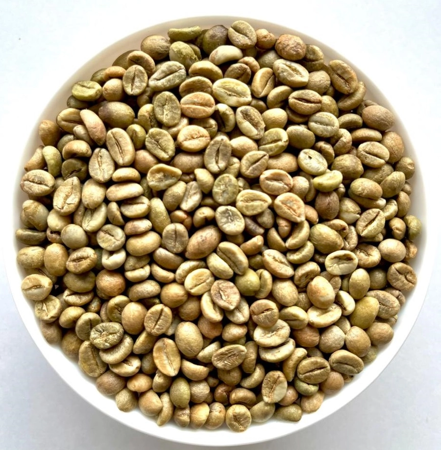 Robusta Cherry AA export India