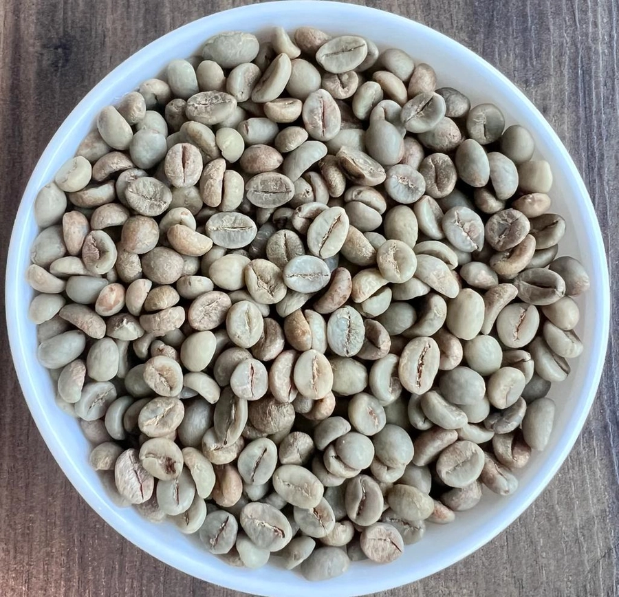 Robusta Parchment A export India