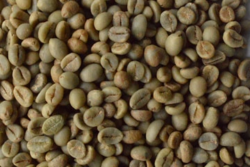 Robusta Parchment AB export India