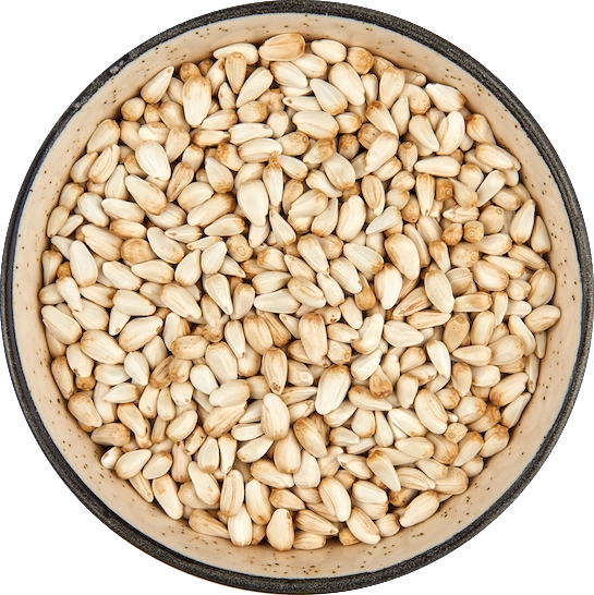 Safflower Seeds export India