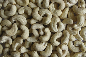 Scorched Whole Cashews W-210 export India