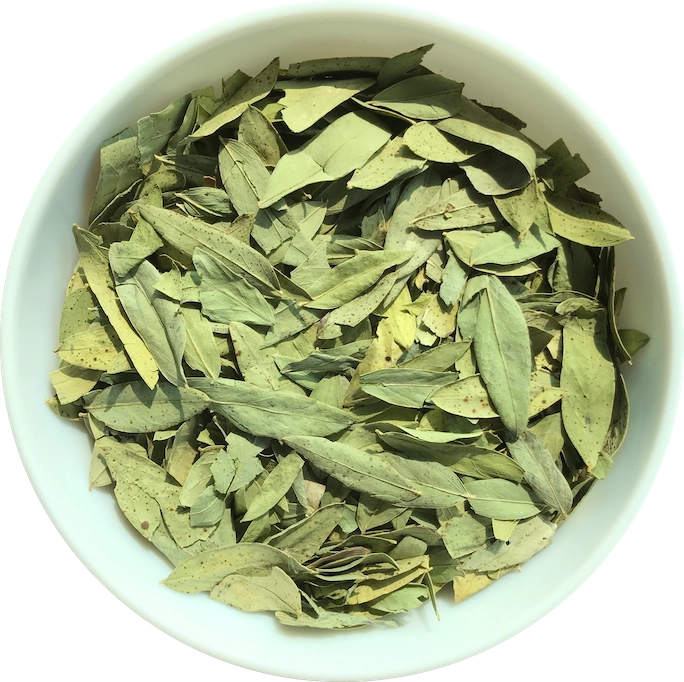 Crude Drugs / Herbs export from India - Radiance Overseas